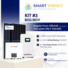 Load image into Gallery viewer, KIT #3 Big Boy